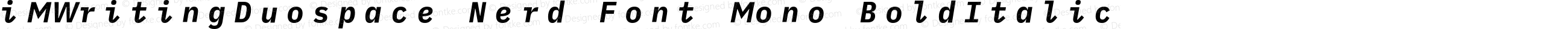 iMWritingDuospace Nerd Font Mono BoldItalic