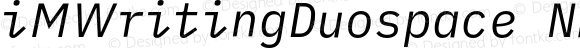 iM Writing Duospace Italic Nerd Font Complete Windows Compatible