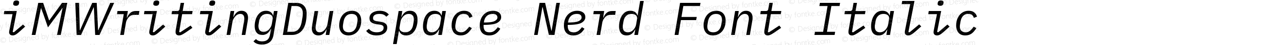 iM Writing Duospace Italic Nerd Font Complete