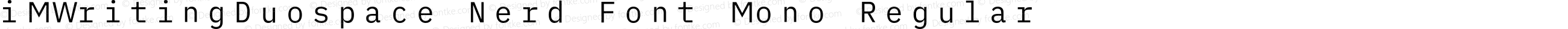 iM Writing Duospace Regular Nerd Font Complete Mono