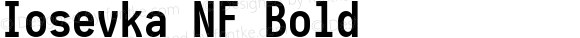 Iosevka Bold Nerd Font Complete Windows Compatible