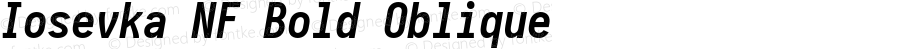 Iosevka Term Bold Oblique Nerd Font Complete Mono Windows Compatible