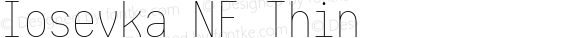 Iosevka Term Thin Nerd Font Complete Mono Windows Compatible