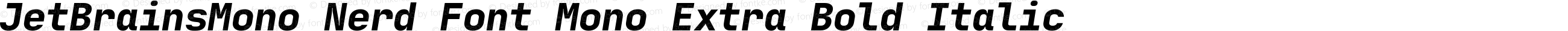 JetBrainsMono Nerd Font Mono Extra Bold Italic
