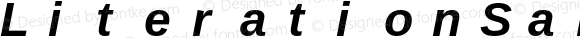 LiterationSans NF Bold Italic