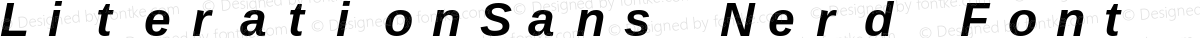 LiterationSans Nerd Font Mono Bold Italic