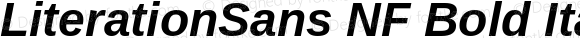 LiterationSans NF Bold Italic