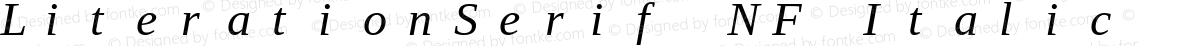 LiterationSerif NF Italic