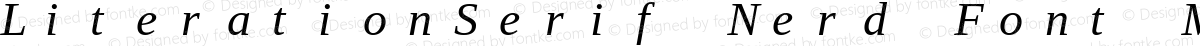 LiterationSerif Nerd Font Mono Italic