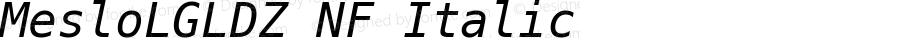 MesloLGLDZ NF Italic