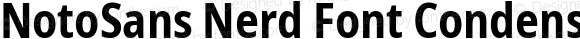NotoSans Nerd Font Condensed Bold