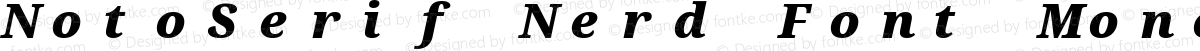 NotoSerif Nerd Font Mono Black Italic