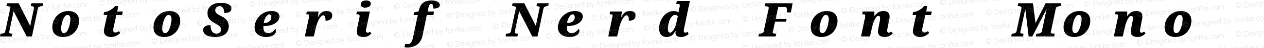 NotoSerif Nerd Font Mono Black Italic