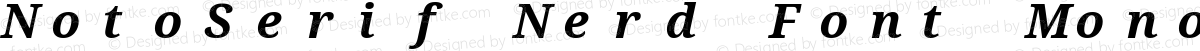 NotoSerif Nerd Font Mono Bold Italic