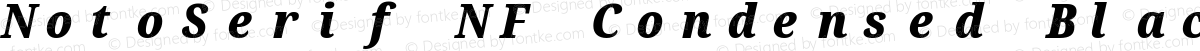 NotoSerif NF Condensed Black Italic