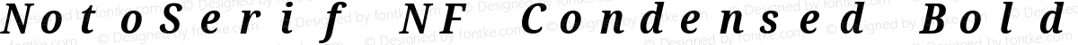 NotoSerif NF Condensed Bold Italic