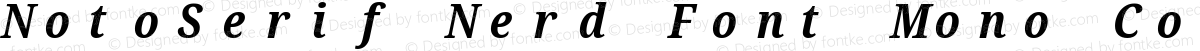 NotoSerif Nerd Font Mono Condensed Bold Italic