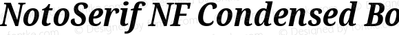 NotoSerif NF Condensed Bold Italic