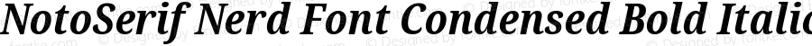 Noto Serif Condensed Bold Italic Nerd Font Complete