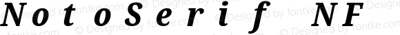 NotoSerif NF Condensed ExtraBold Italic