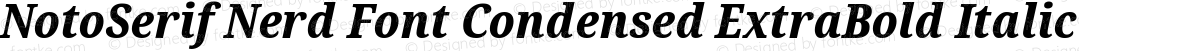 NotoSerif Nerd Font Condensed ExtraBold Italic