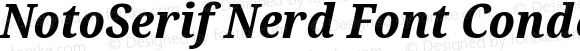 NotoSerif Nerd Font Condensed ExtraBold Italic