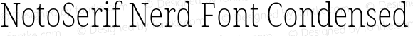 NotoSerif Nerd Font Condensed ExtraLight