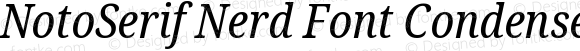 NotoSerif Nerd Font Condensed Italic
