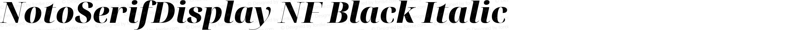 NotoSerifDisplay NF Black Italic