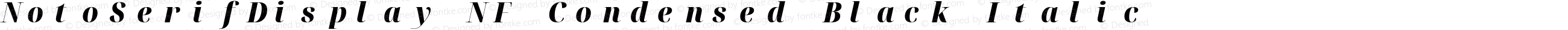 NotoSerifDisplay NF Condensed Black Italic