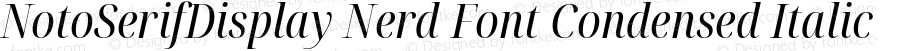 Noto Serif Display Condensed Italic Nerd Font Complete