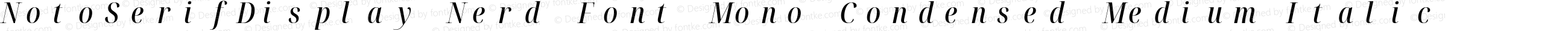 NotoSerifDisplay Nerd Font Mono Condensed Medium Italic