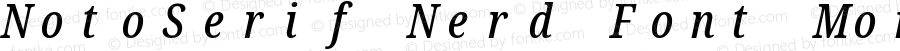 Noto Serif ExtraCondensed Medium Italic Nerd Font Complete Mono