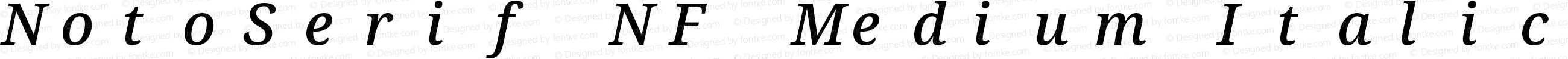 NotoSerif NF Medium Italic