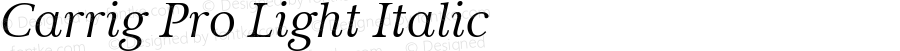 Carrig Pro Light Italic