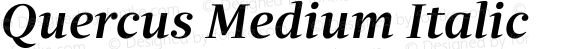 Quercus Medium Italic