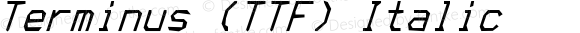 Terminus (TTF) Italic