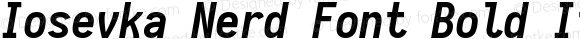 Iosevka Nerd Font Bold Italic