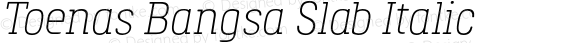 ToenasBangsaSlab-LightItalic