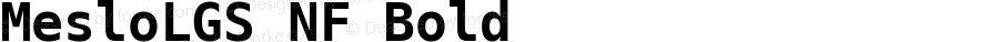 Meslo LG S Bold Nerd Font Complete Mono Windows Compatible
