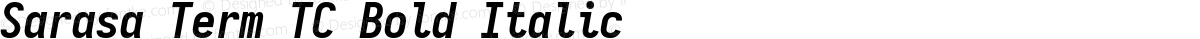 Sarasa Term TC Bold Italic