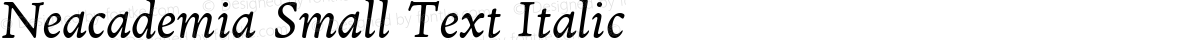 Neacademia Small Text Italic