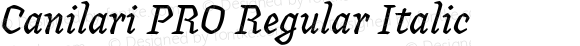 Canilari PRO Regular Italic