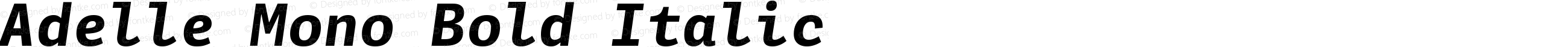 Adelle Mono Bold Italic