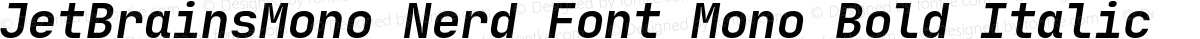 JetBrainsMono Nerd Font Mono Bold Italic