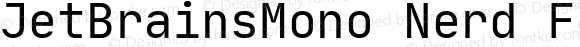 JetBrainsMono Nerd Font Mono Regular