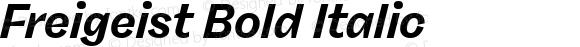 Freigeist Bold Italic