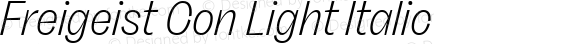 Freigeist Con Light Italic