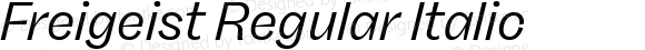 Freigeist Regular Italic