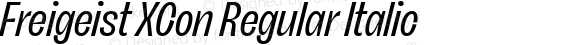 Freigeist XCon Regular Italic